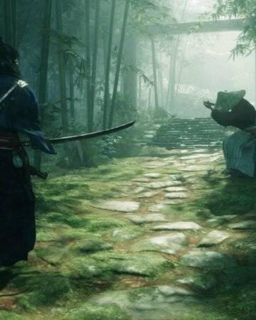 rise of ronin (ps5)