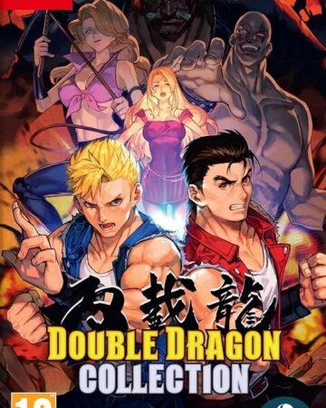 double dragon collection (switch)