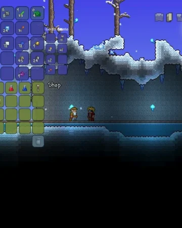 terraria išsamus gidas ps4 Žaidėjams